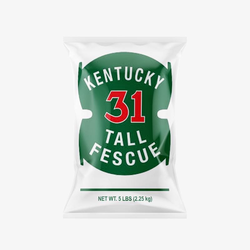 Barenbrug K315ACE00 Kentucky 31 Tall Fescue Grass Sun or Shade Grass Seed 5 lb