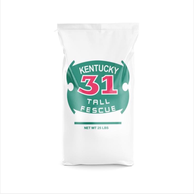 Barenbrug 12115 Kentucky 31 Tall Fescue Grass Sun or Shade Grass Seed 25 lb