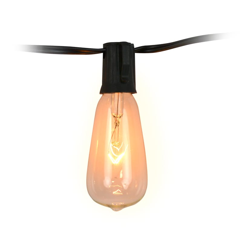 Living Accents INCST4010CLA Incandescent ST40 Edison Light Set Clear 10 ft. 10 lights
